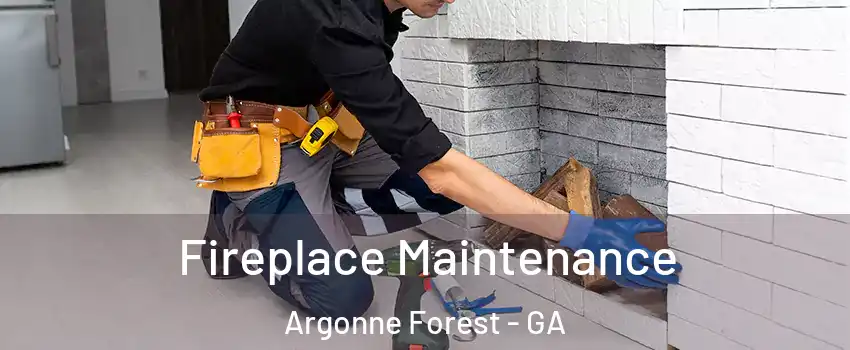 Fireplace Maintenance Argonne Forest - GA