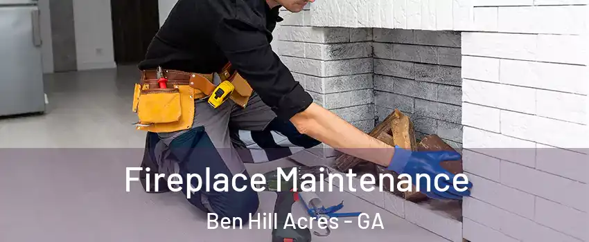 Fireplace Maintenance Ben Hill Acres - GA