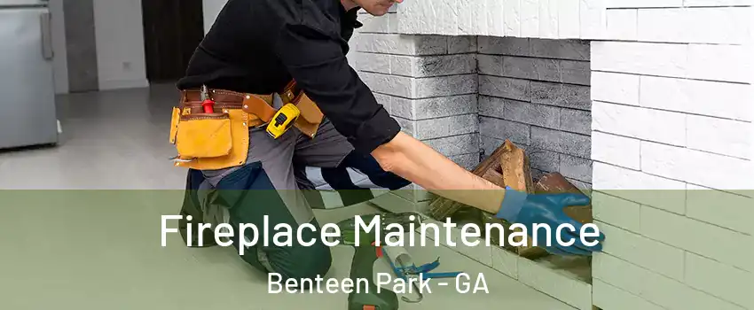 Fireplace Maintenance Benteen Park - GA