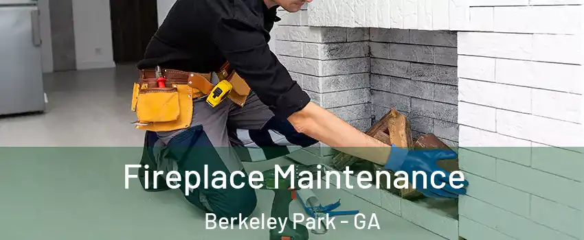 Fireplace Maintenance Berkeley Park - GA