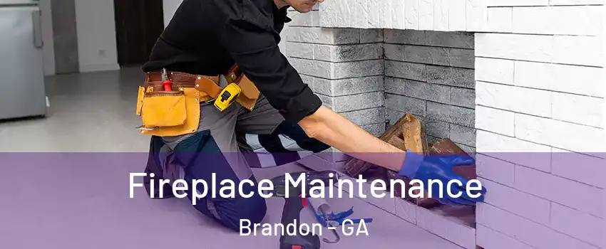 Fireplace Maintenance Brandon - GA