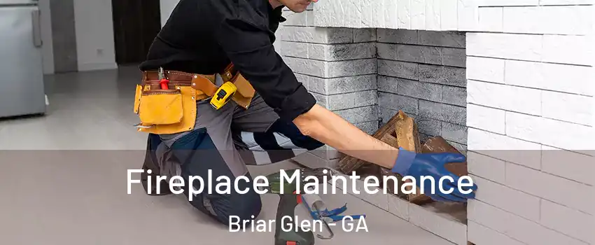 Fireplace Maintenance Briar Glen - GA