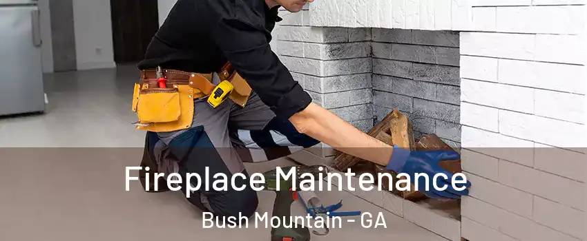 Fireplace Maintenance Bush Mountain - GA