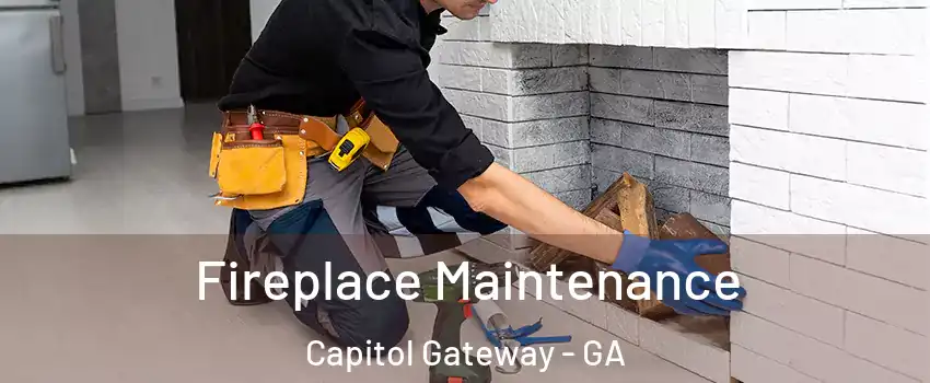 Fireplace Maintenance Capitol Gateway - GA