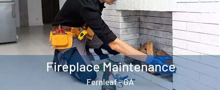 Fireplace Maintenance Fernleaf - GA