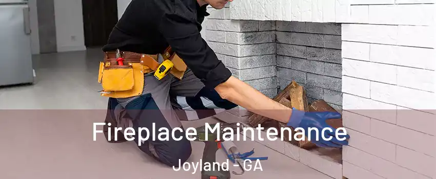 Fireplace Maintenance Joyland - GA