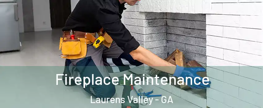Fireplace Maintenance Laurens Valley - GA