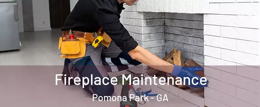 Fireplace Maintenance Pomona Park - GA