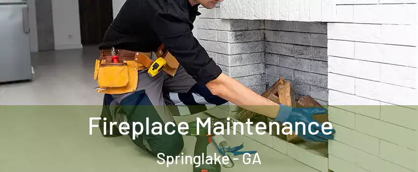 Fireplace Maintenance Springlake - GA