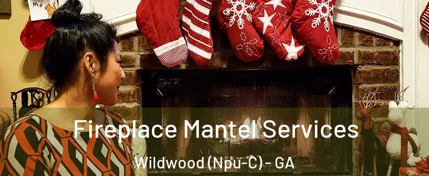 Fireplace Mantel Services Wildwood (Npu-C) - GA