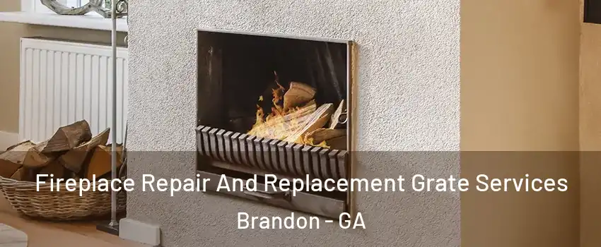 Fireplace Repair And Replacement Grate Services Brandon - GA