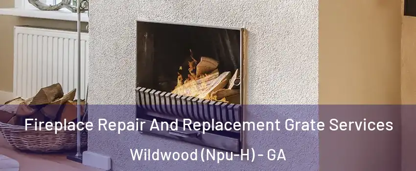 Fireplace Repair And Replacement Grate Services Wildwood (Npu-H) - GA