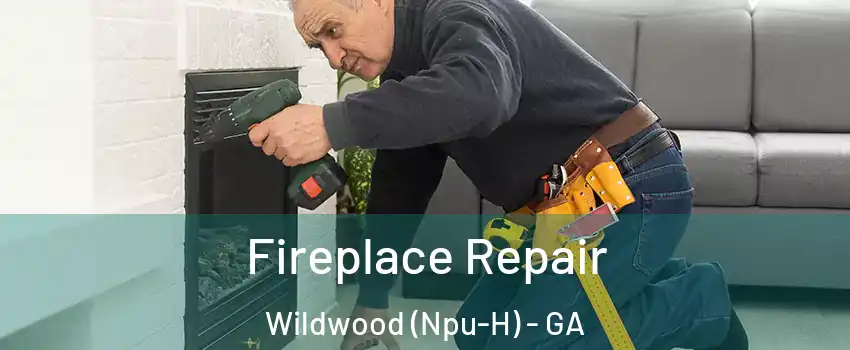 Fireplace Repair Wildwood (Npu-H) - GA
