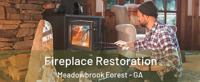 Fireplace Restoration Meadowbrook Forest - GA