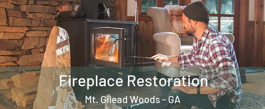 Fireplace Restoration Mt. Gilead Woods - GA