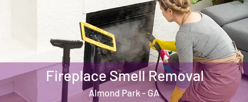Fireplace Smell Removal Almond Park - GA