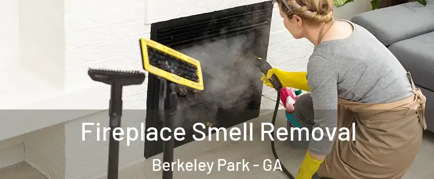 Fireplace Smell Removal Berkeley Park - GA