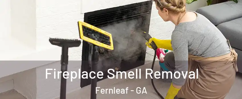 Fireplace Smell Removal Fernleaf - GA