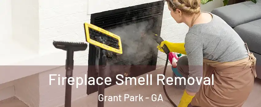 Fireplace Smell Removal Grant Park - GA