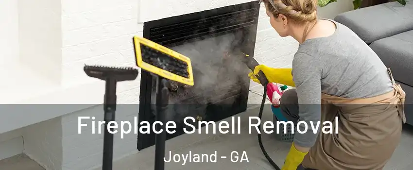 Fireplace Smell Removal Joyland - GA