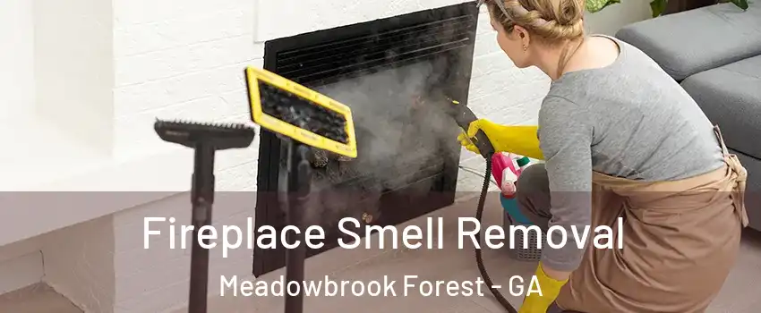 Fireplace Smell Removal Meadowbrook Forest - GA