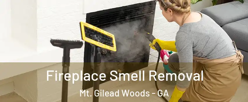 Fireplace Smell Removal Mt. Gilead Woods - GA