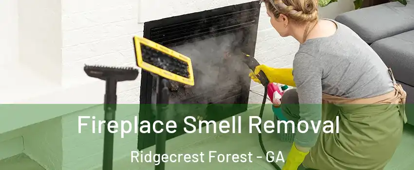 Fireplace Smell Removal Ridgecrest Forest - GA