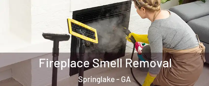 Fireplace Smell Removal Springlake - GA