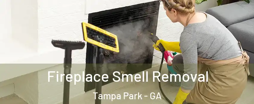 Fireplace Smell Removal Tampa Park - GA