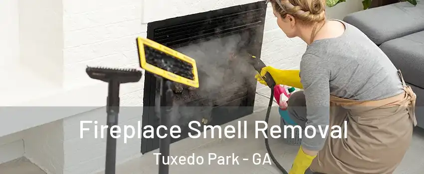 Fireplace Smell Removal Tuxedo Park - GA