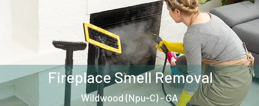 Fireplace Smell Removal Wildwood (Npu-C) - GA