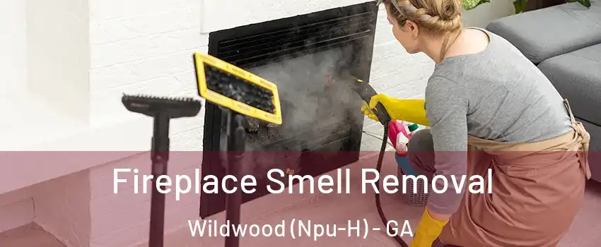 Fireplace Smell Removal Wildwood (Npu-H) - GA