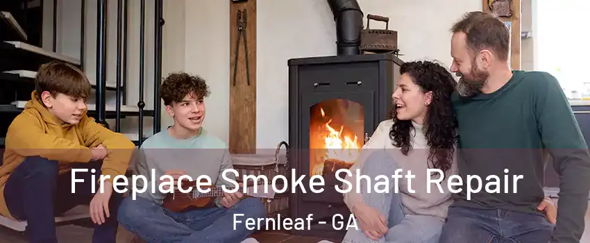 Fireplace Smoke Shaft Repair Fernleaf - GA