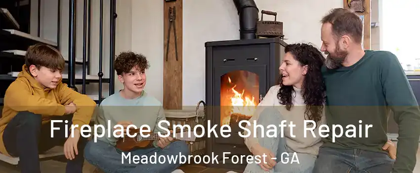 Fireplace Smoke Shaft Repair Meadowbrook Forest - GA