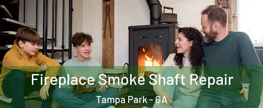 Fireplace Smoke Shaft Repair Tampa Park - GA