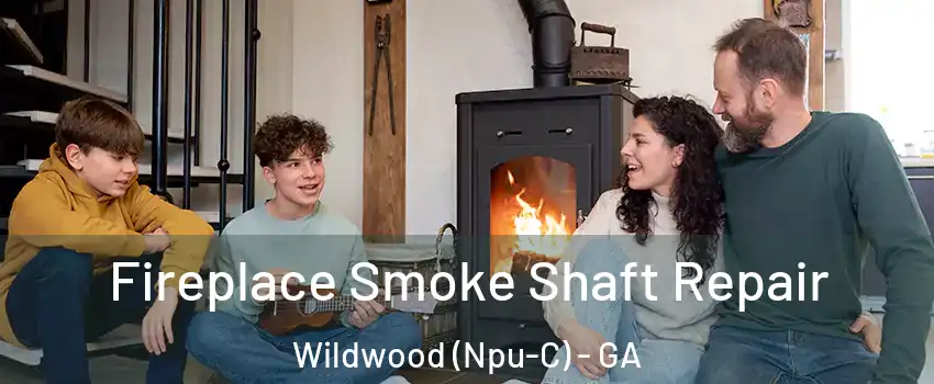 Fireplace Smoke Shaft Repair Wildwood (Npu-C) - GA