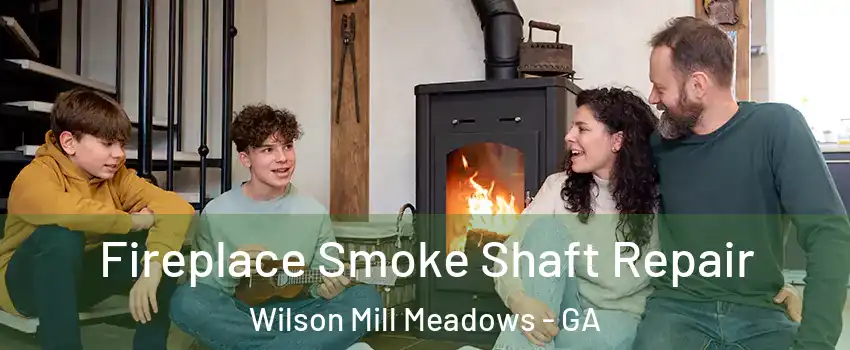 Fireplace Smoke Shaft Repair Wilson Mill Meadows - GA