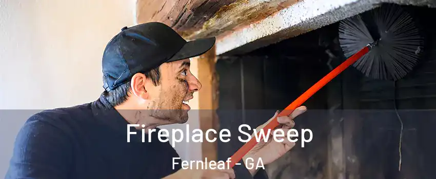 Fireplace Sweep Fernleaf - GA