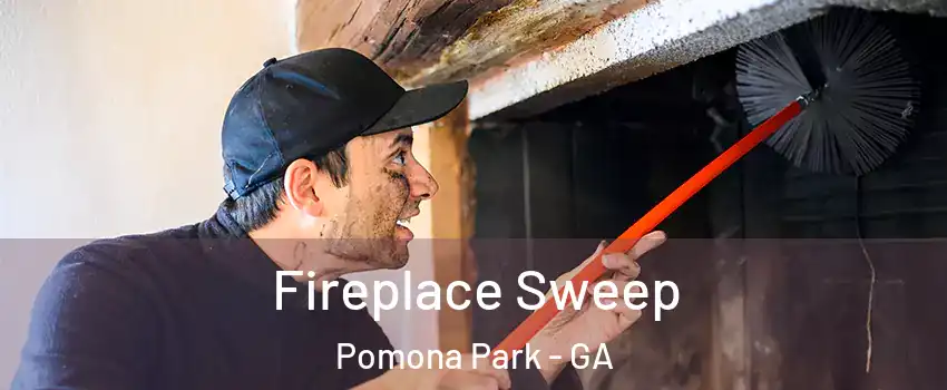 Fireplace Sweep Pomona Park - GA