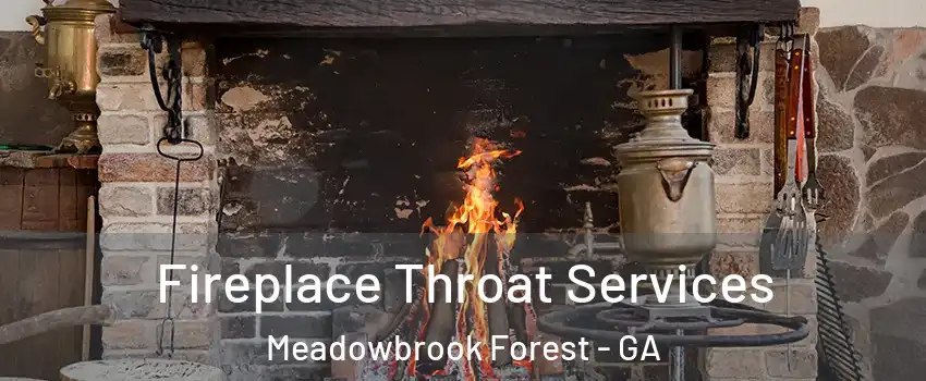 Fireplace Throat Services Meadowbrook Forest - GA