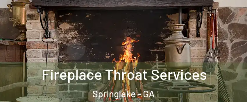 Fireplace Throat Services Springlake - GA