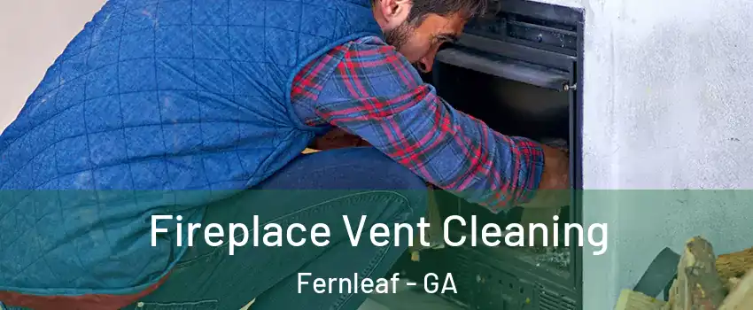 Fireplace Vent Cleaning Fernleaf - GA