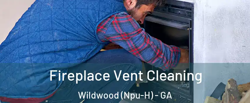 Fireplace Vent Cleaning Wildwood (Npu-H) - GA