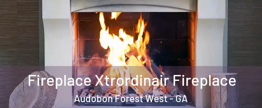 Fireplace Xtrordinair Fireplace Audobon Forest West - GA