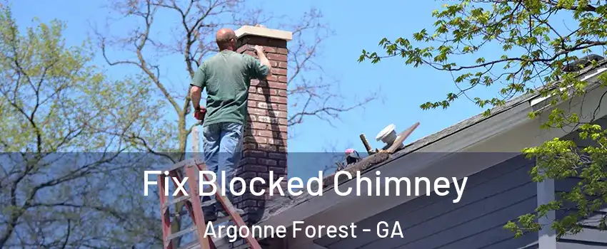Fix Blocked Chimney Argonne Forest - GA