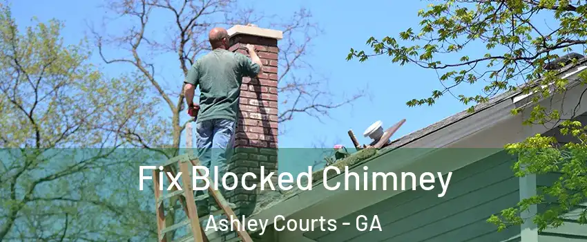 Fix Blocked Chimney Ashley Courts - GA