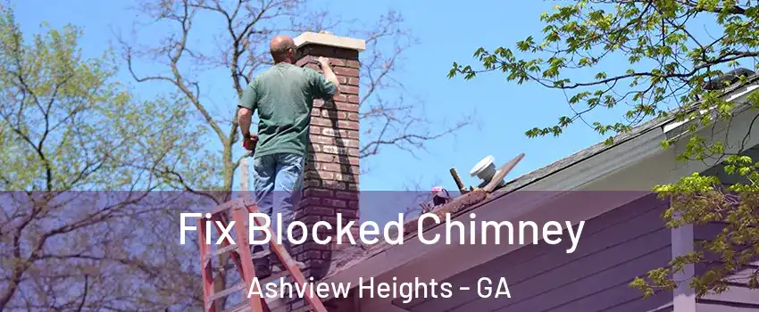 Fix Blocked Chimney Ashview Heights - GA