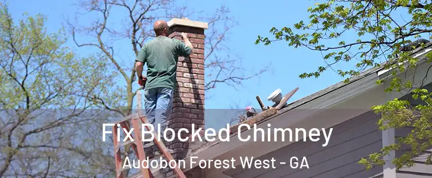 Fix Blocked Chimney Audobon Forest West - GA