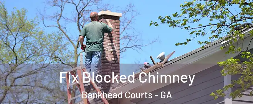 Fix Blocked Chimney Bankhead Courts - GA