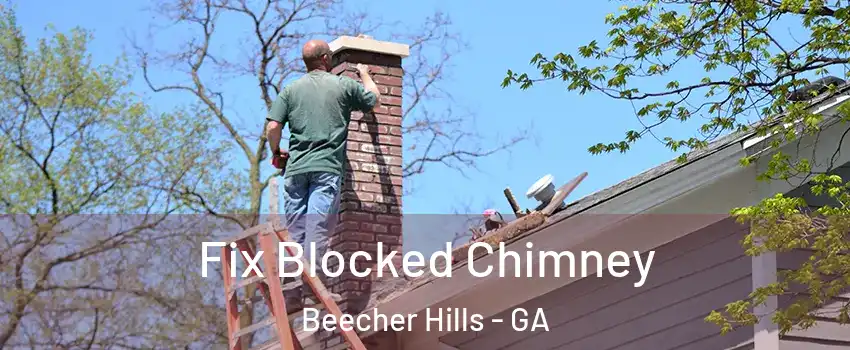 Fix Blocked Chimney Beecher Hills - GA